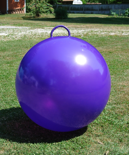 32 inch Purple Hoppity Hop